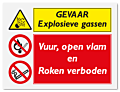 Waarschuwingsbord Explosieve gassen - Vuur, open vlam en Roken verboden vanaf 20 x 15 cm