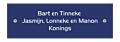 Naamplaatje met nostalgische uitstraling 15 x 5 cm blauw