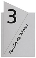 RVS naambordje 15 x 25 cm met gegraveerde opdruk - rvs naambordje - inox - luxe