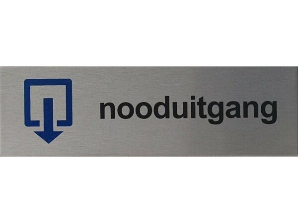 RVS pictogram Nooduitgang