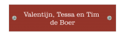 Naamplaatje met nostalgische uitstraling 12 x 3 cm rood